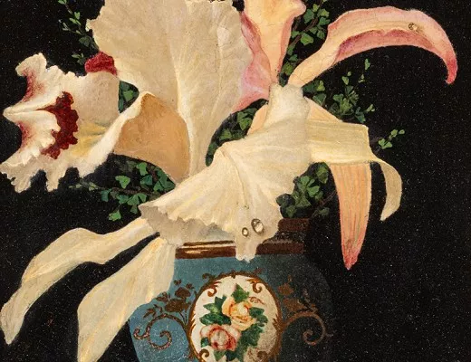 Orchidée
